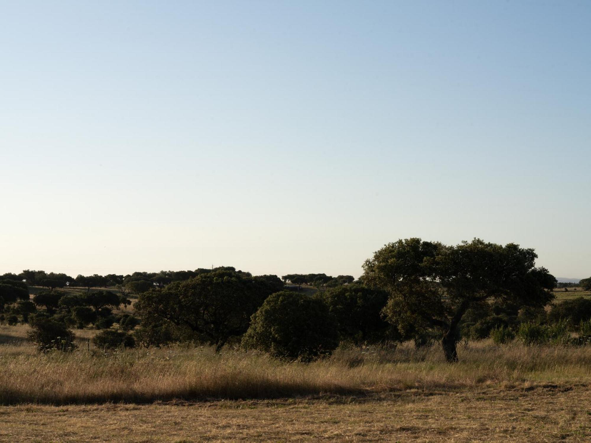 Change The World - Herdade Monte Do Peral Montes Juntos Eksteriør bilde