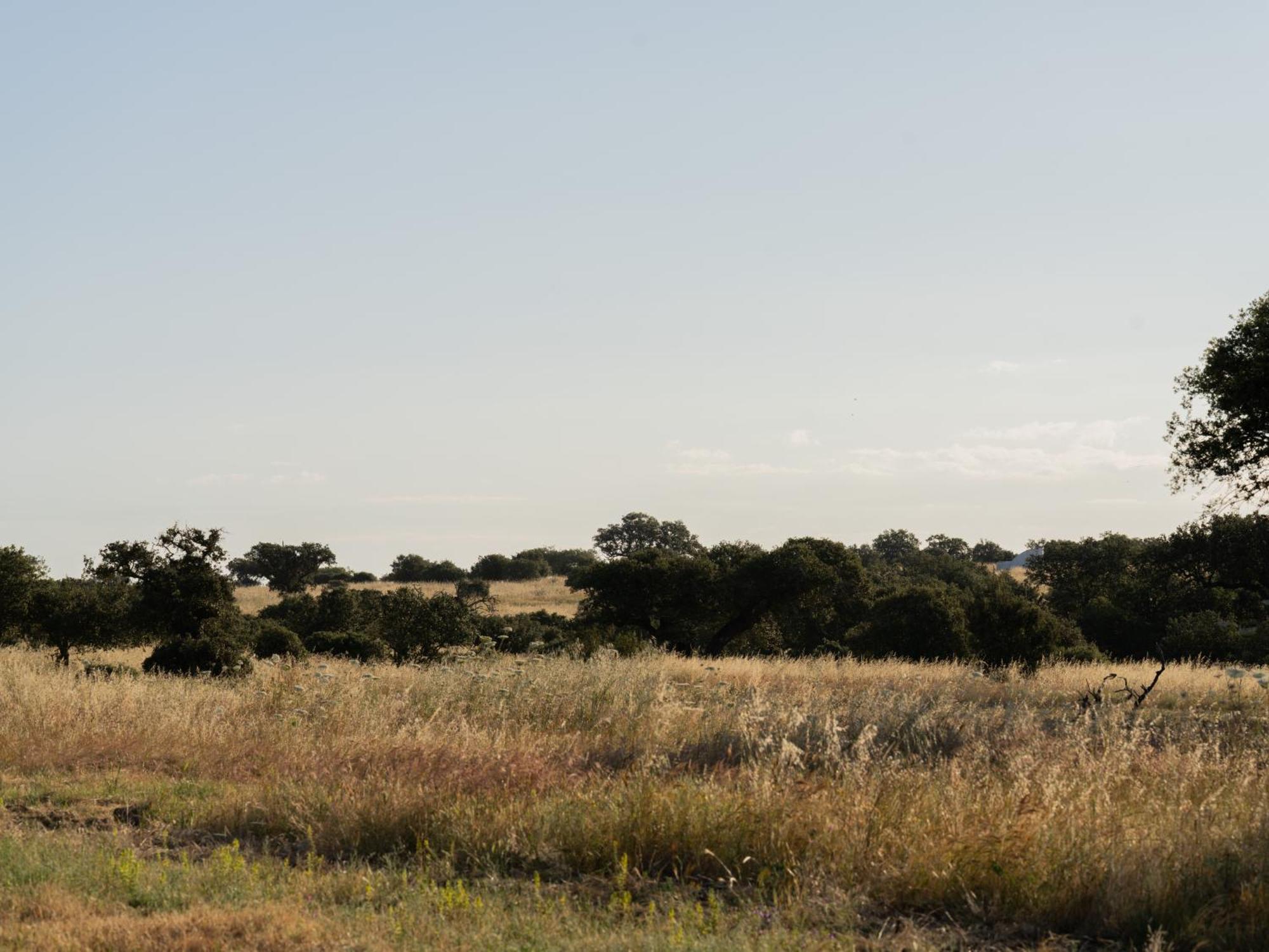 Change The World - Herdade Monte Do Peral Montes Juntos Eksteriør bilde
